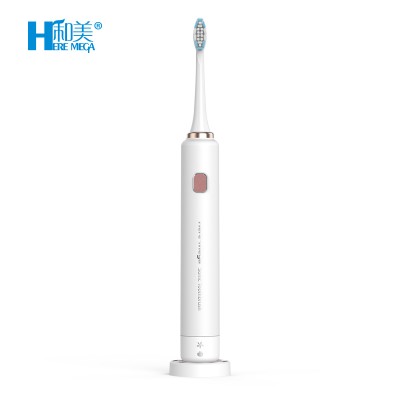 triple bristle electric toothbrush home products 2020 in demand electric teeth brush USB Rechargable electric toothbrush charger